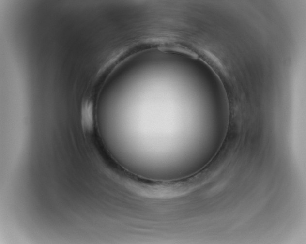 X0000113110020200908281418