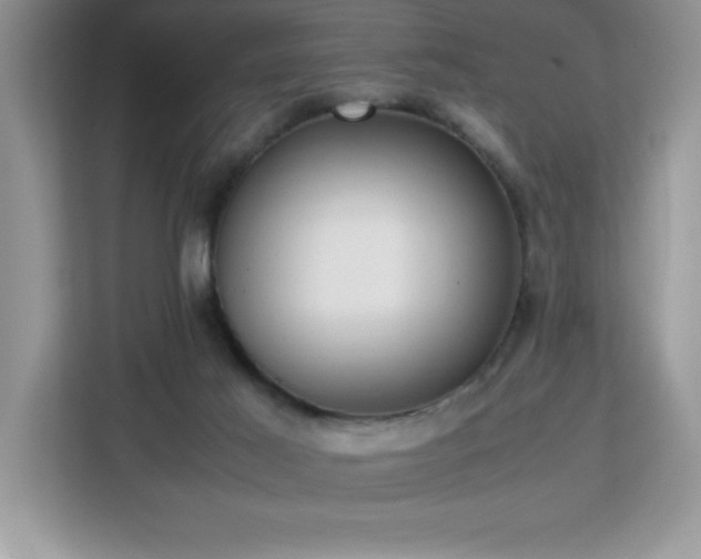 X0000113110021200908281418