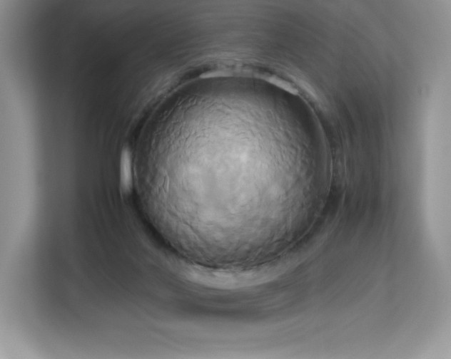 X0000113110022200908281418