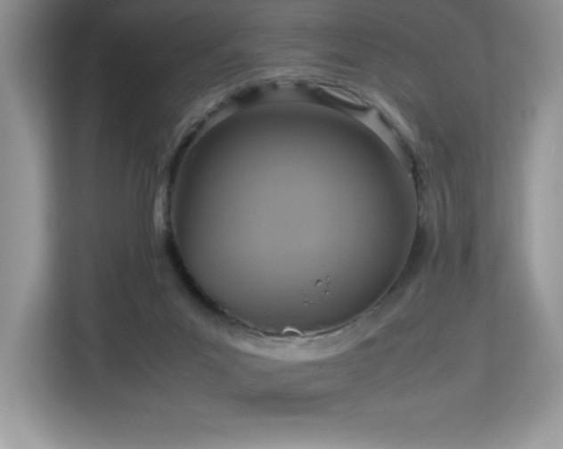 X0000113110023200908281418