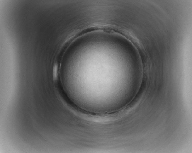 X0000113110024200908281418
