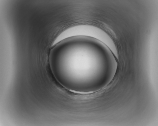X0000113110025200908281418