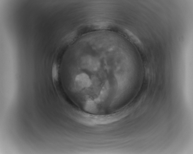 X0000113110026200908281418