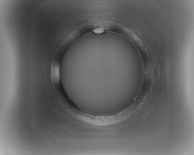 X0000113110027200908281418
