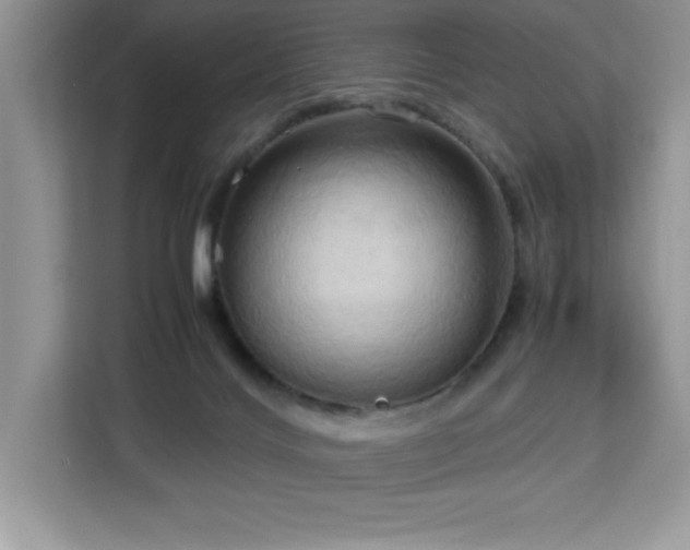 X0000113110028200908281418
