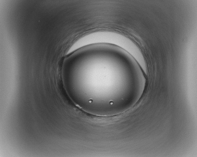 X0000113110029200908281418