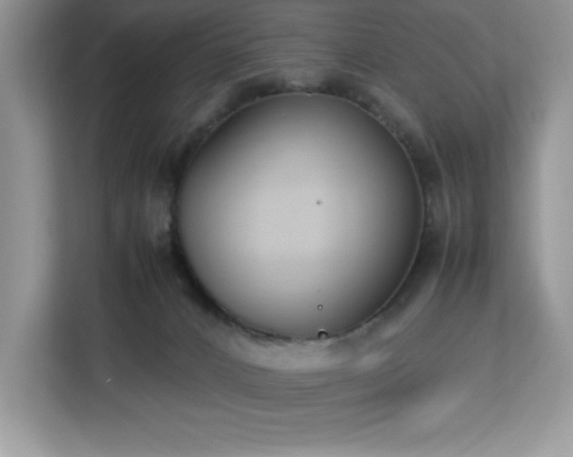 X0000113110032200908281418
