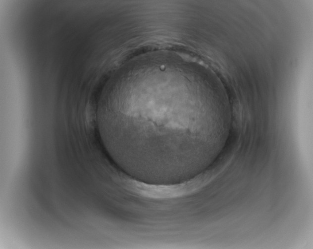 X0000113110034200908281418