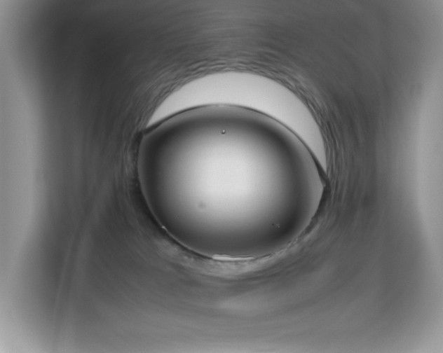 X0000113110037200908281418