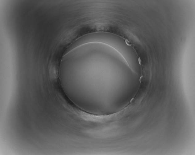 X0000113110039200908281418