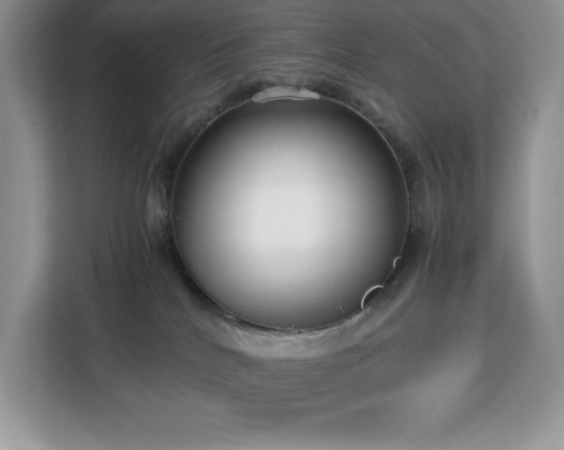 X0000113110040200908281417