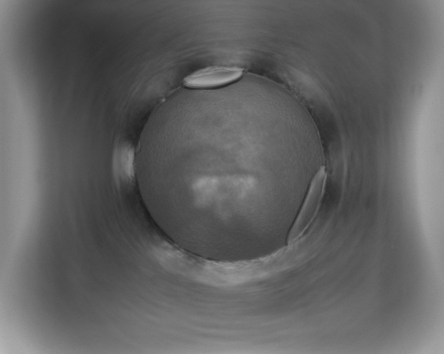 X0000113110041200908281417