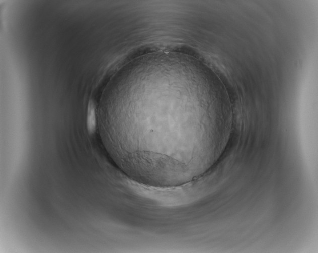 X0000113110042200908281417