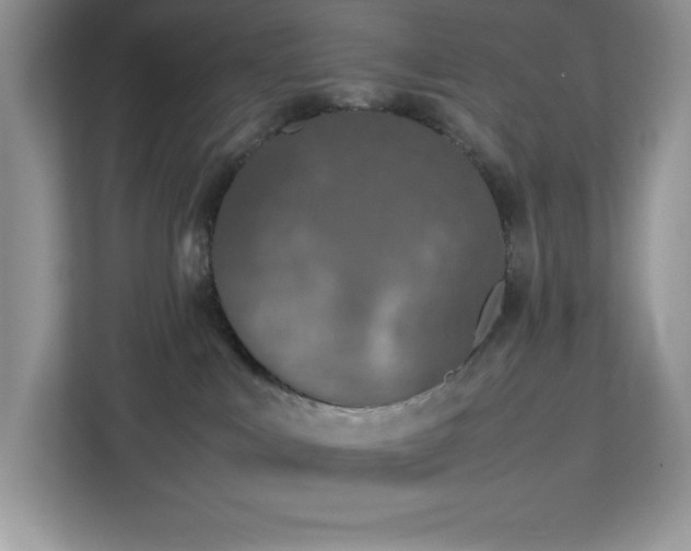 X0000113110043200908281417