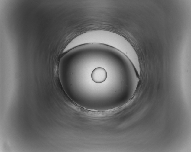 X0000113110045200908281417