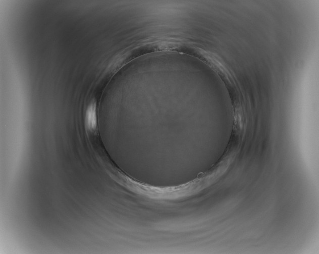 X0000113110046200908281417