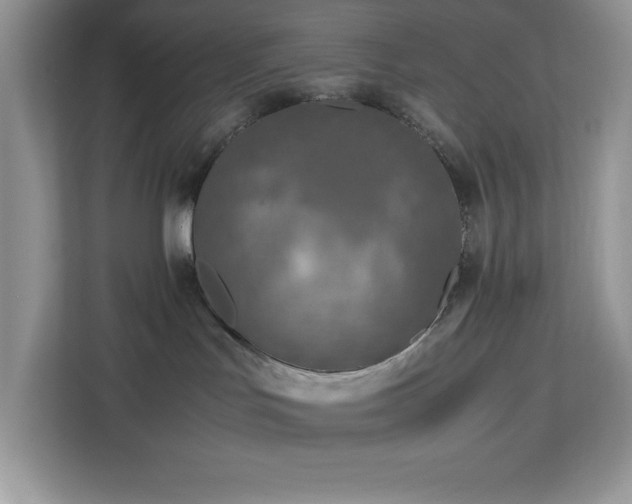X0000113110047200908281417