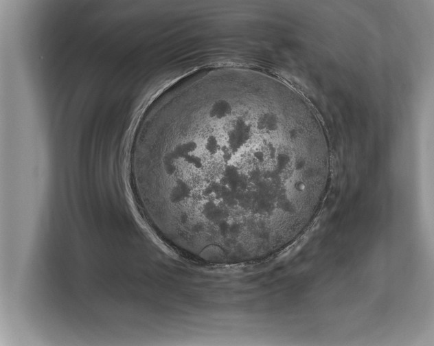 X0000113110049200908281417