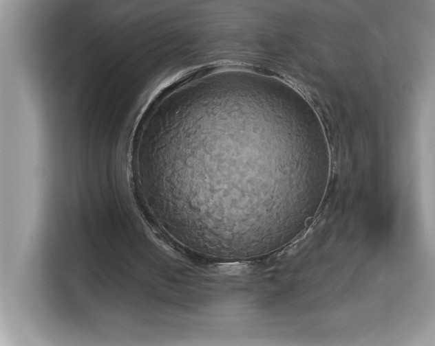X0000113110050200908281417