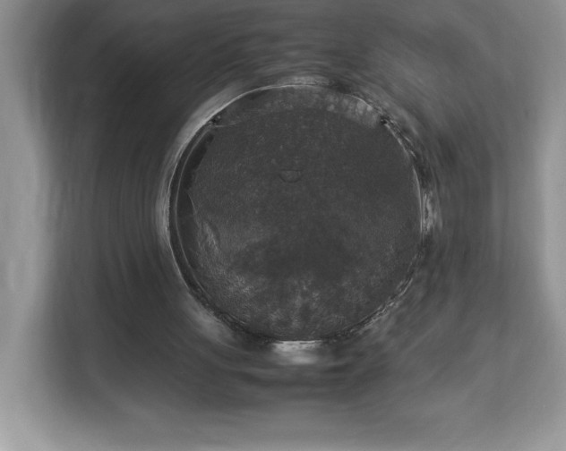 X0000113110051200908281417
