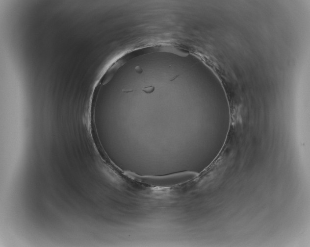 X0000113110052200908281417