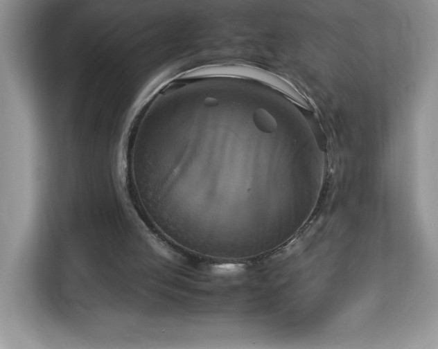 X0000113110053200908281417