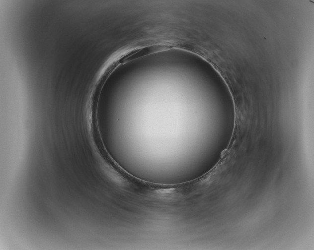 X0000113110054200908281417