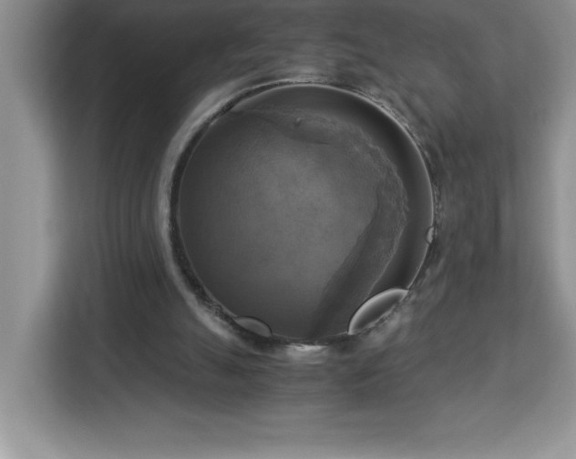 X0000113110055200908281417