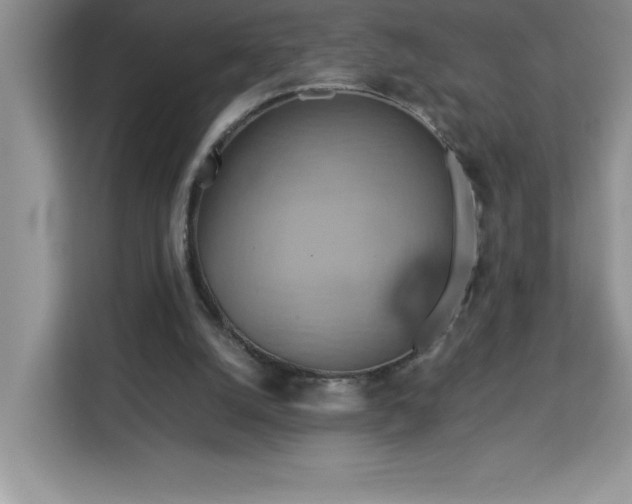 X0000113110056200908281417