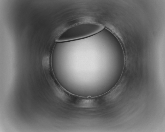 X0000113110057200908281417