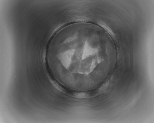 X0000113110058200908281417