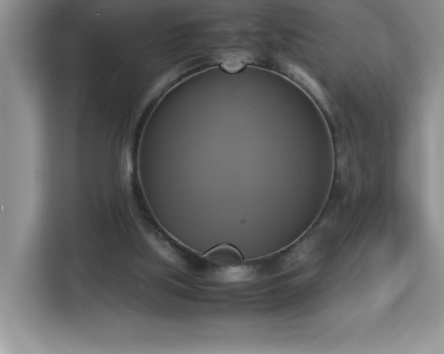 X0000113110059200908281417