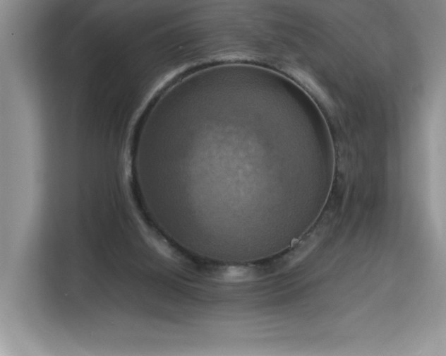 X0000113110060200908281417