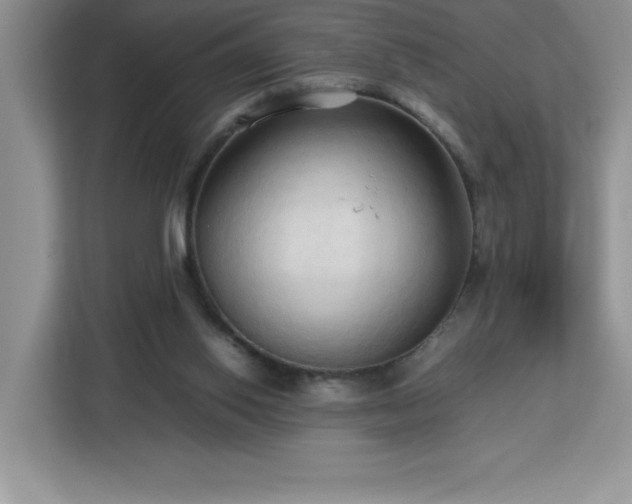 X0000113110062200908281417