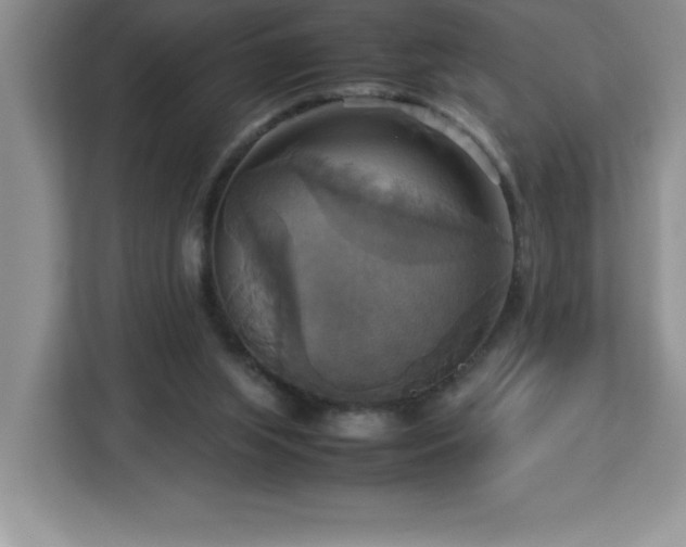 X0000113110063200908281417