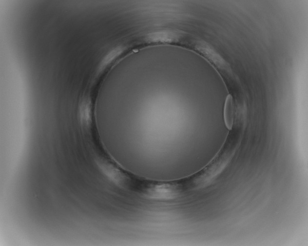 X0000113110064200908281417