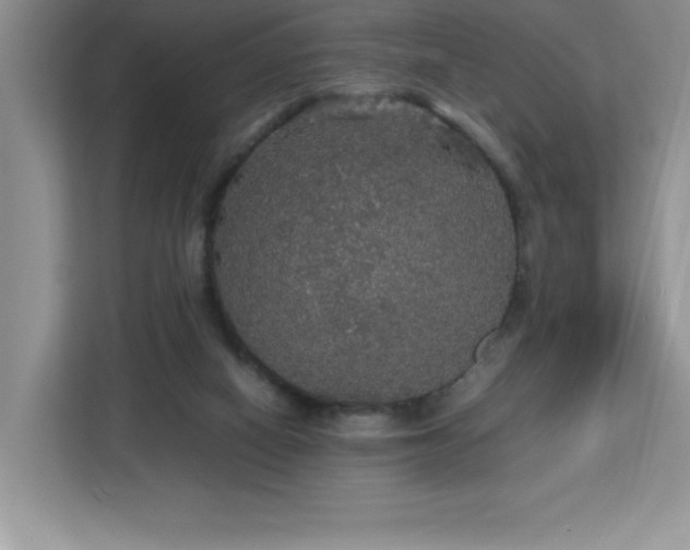X0000113110066200908281417