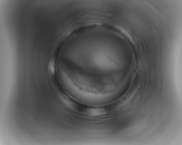X0000113110069200908281417