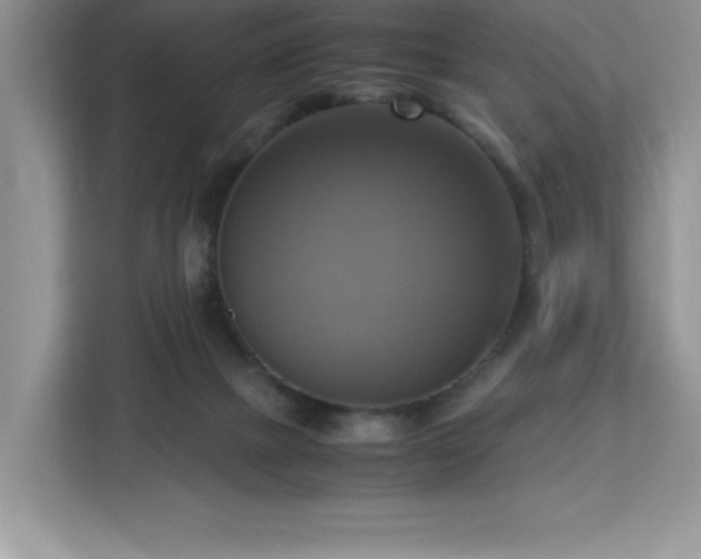 X0000113110073200908281417