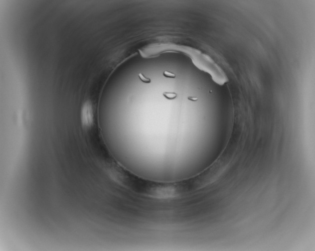 X0000113110075200908281417