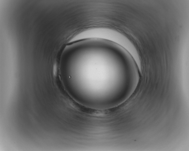 X0000113110076200908281417