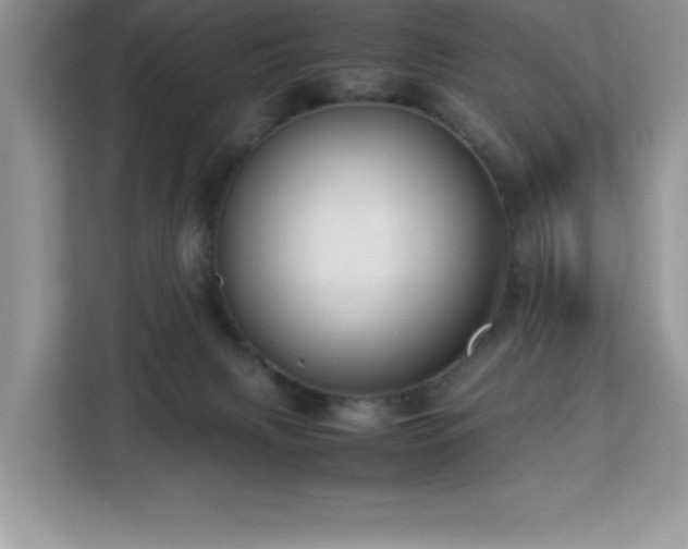 X0000113110079200908281417