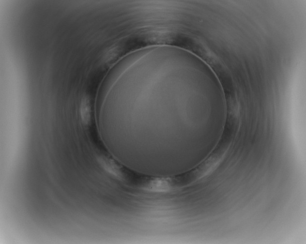 X0000113110080200908281417