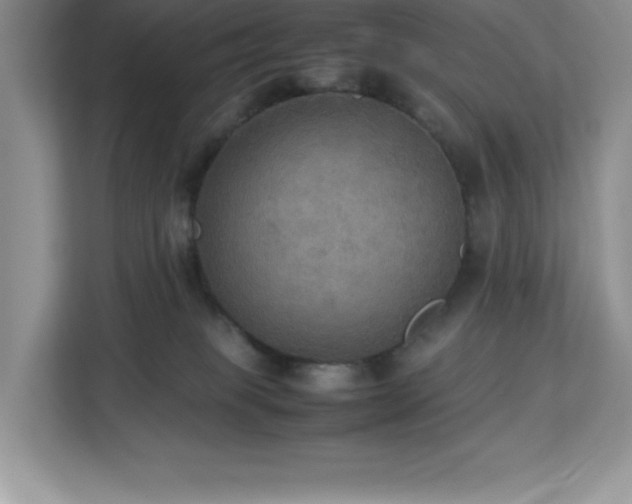 X0000113110085200908281417