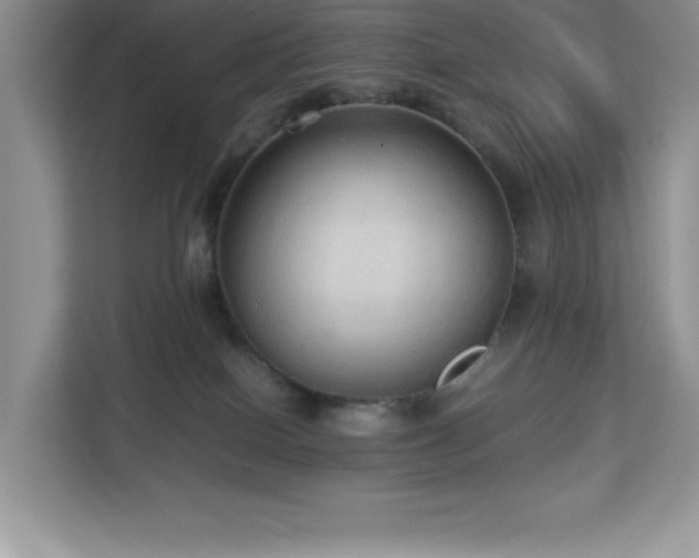 X0000113110086200908281417