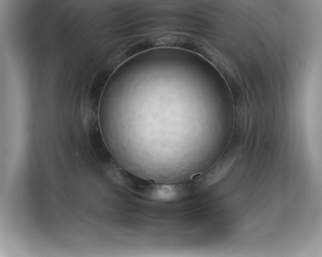 X0000113110091200908281417
