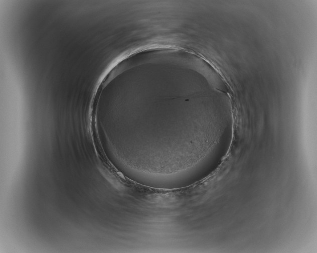X0000113110100200908281417