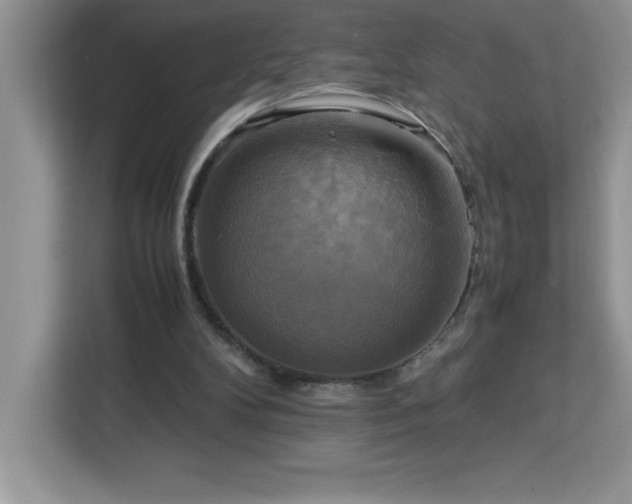 X0000113110104200908281417