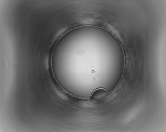X0000113110106200908281417