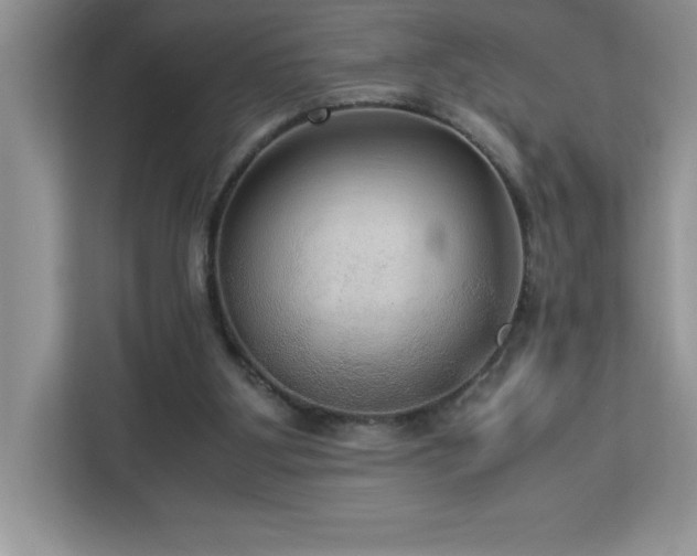 X0000113110107200908281417